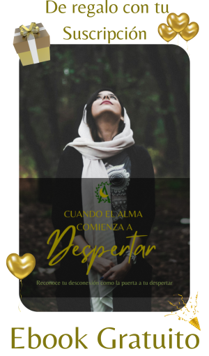 ebook ebook